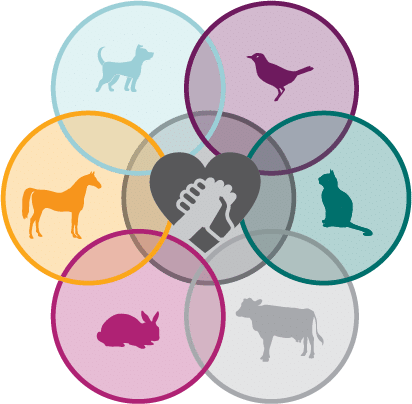 Illustration of a dark gray heart with two light gray hands shaking inside, surrounded by six overlapping colored circles. The circles contain silhouettes of a dog, bird, cat, cow, rabbit, and horse.