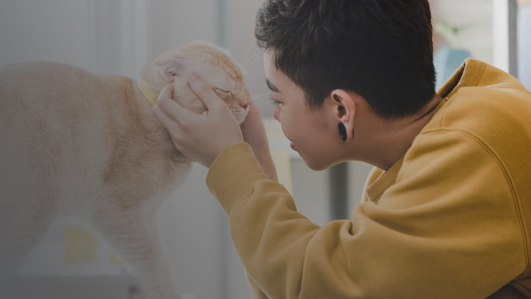 Person wearing yellow with black ear gauges holding cats face