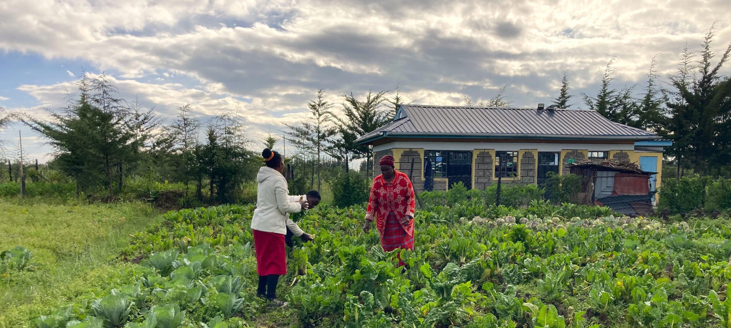 Bariki Women farming