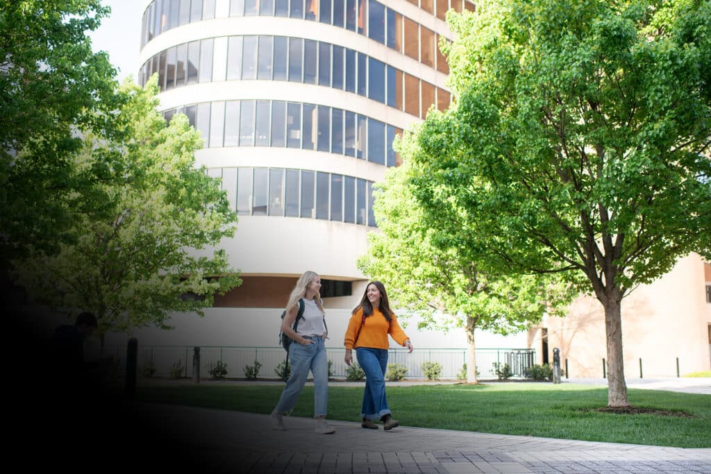 Mssw Loading Extended Study MSSW | College of Social Work