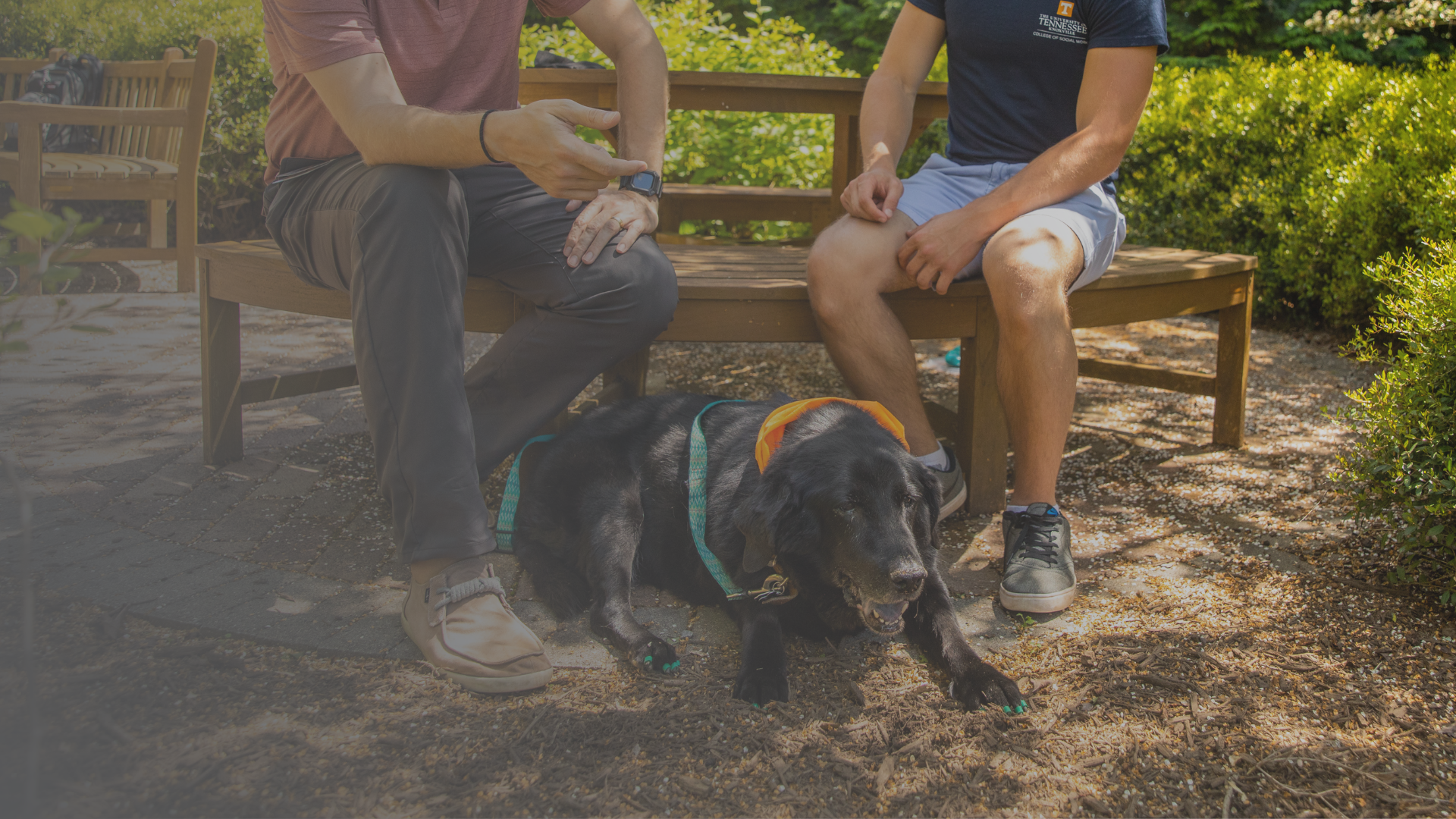 two men sitting on a bench with a service dog